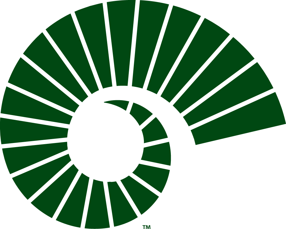 Colorado State Rams 2015-Pres Alternate Logo v2 DIY iron on transfer (heat transfer)